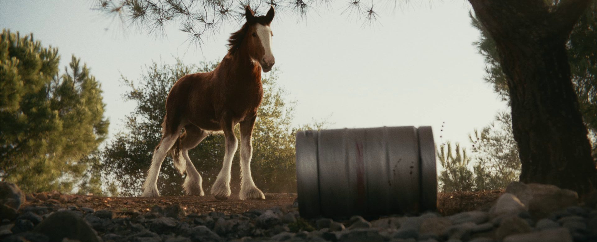 Budweiser First Delivery 98